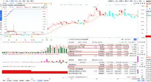 丹佛掘金内部会议纪要流出：最后时刻临场应变，世预赛使命明确，纪律约束更严格的简单介绍