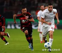 九游网站入口官网 -欧篮联赛事在线直播